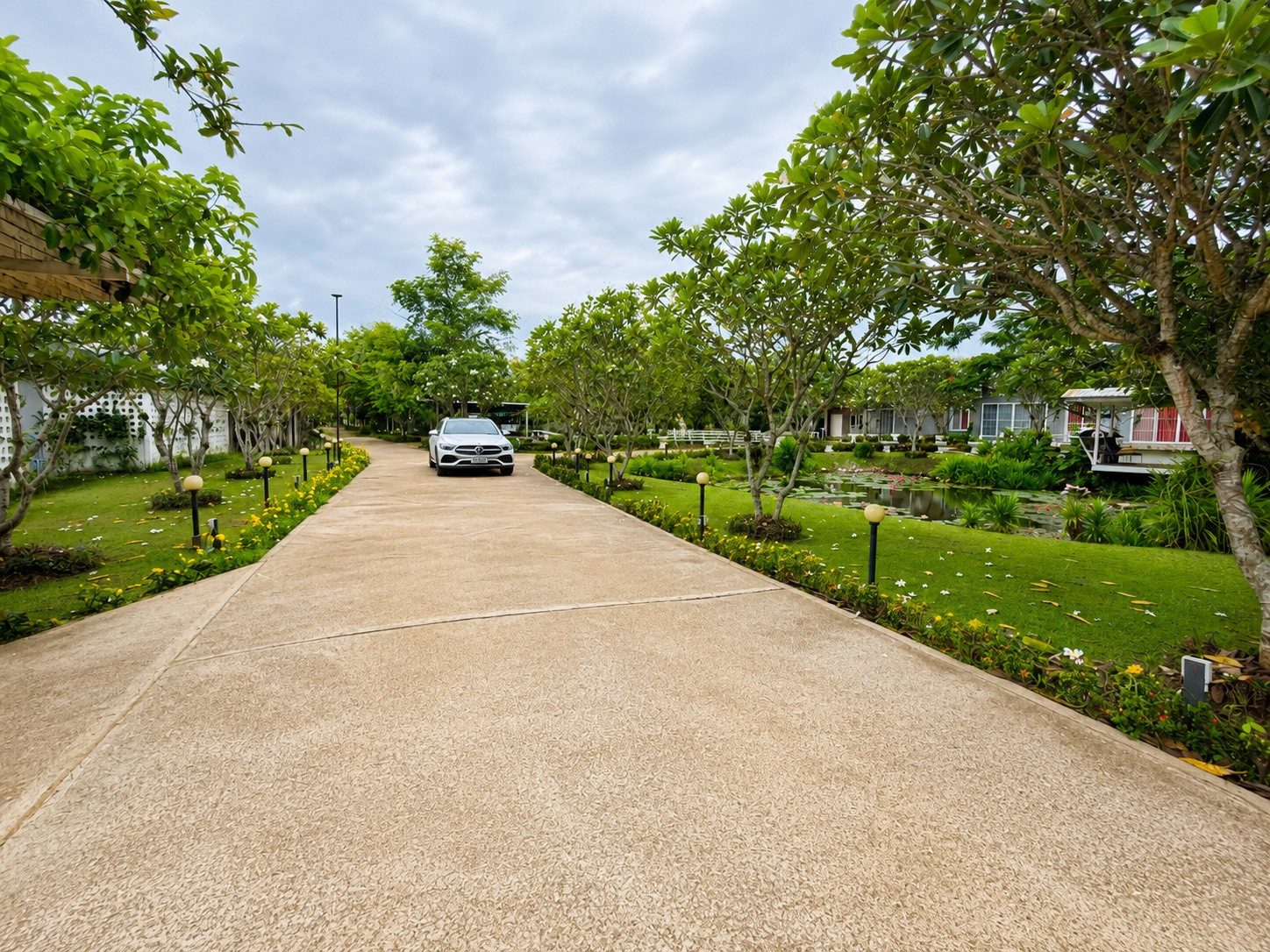 Evening garden road