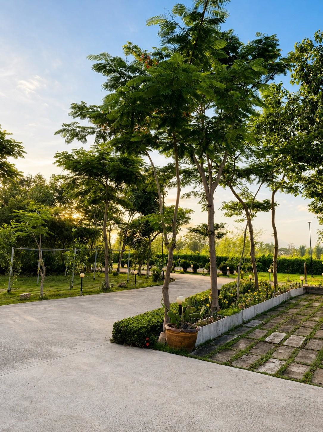 Sunset garden road