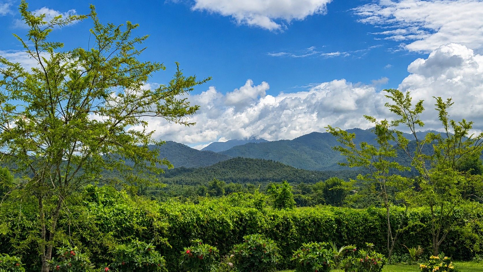 Mountain view