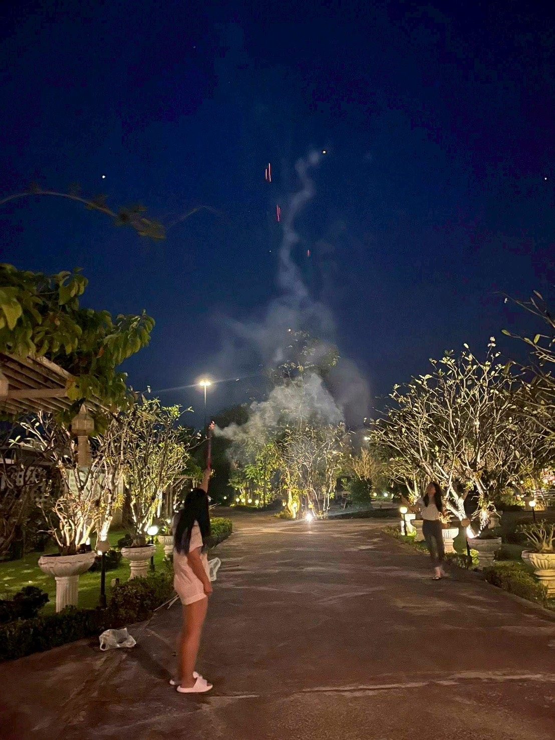 Night garden
